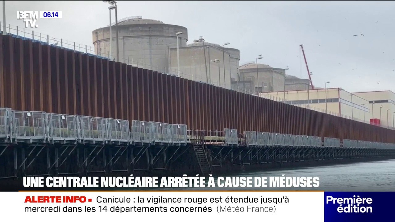 Gravelines: la plus grande centrale nucléaire d’Europe occidentale mise à l’arrêt à cause de méduses