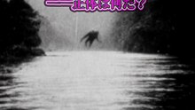 川面の彼方に現れた“黒い人影”──正体は何だ？
