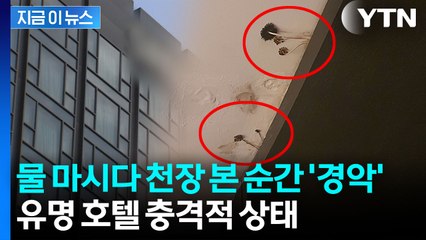 "점점 컨디션이 안 좋아져 이상하다 했더니..." 서울 유명 호텔 충격적 후기 [지금이뉴스] / YTN