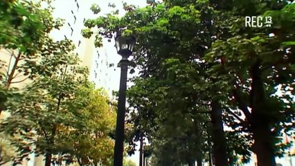 City Tour - Resumen 7, Temporada 2009 (REC TV - 08/08/2025)