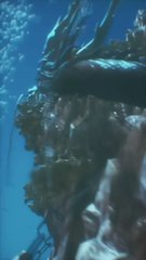 Dewa Perang Cantik: Mitologi dan Pesonanya