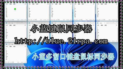 USB窗口同步器,小蓝同步器软件,小蓝窗口同步器,EXE窗口同步器.