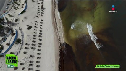 La crisis del sargazo en el mar Caribe parece no tener fin