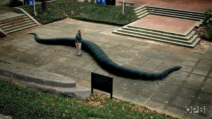 Secrets of the Dead - Graveyard of the Giant Beasts