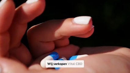 Efficiënt Gewichtsbeheer Capsules Voor Natuurlijke Vet Verlies