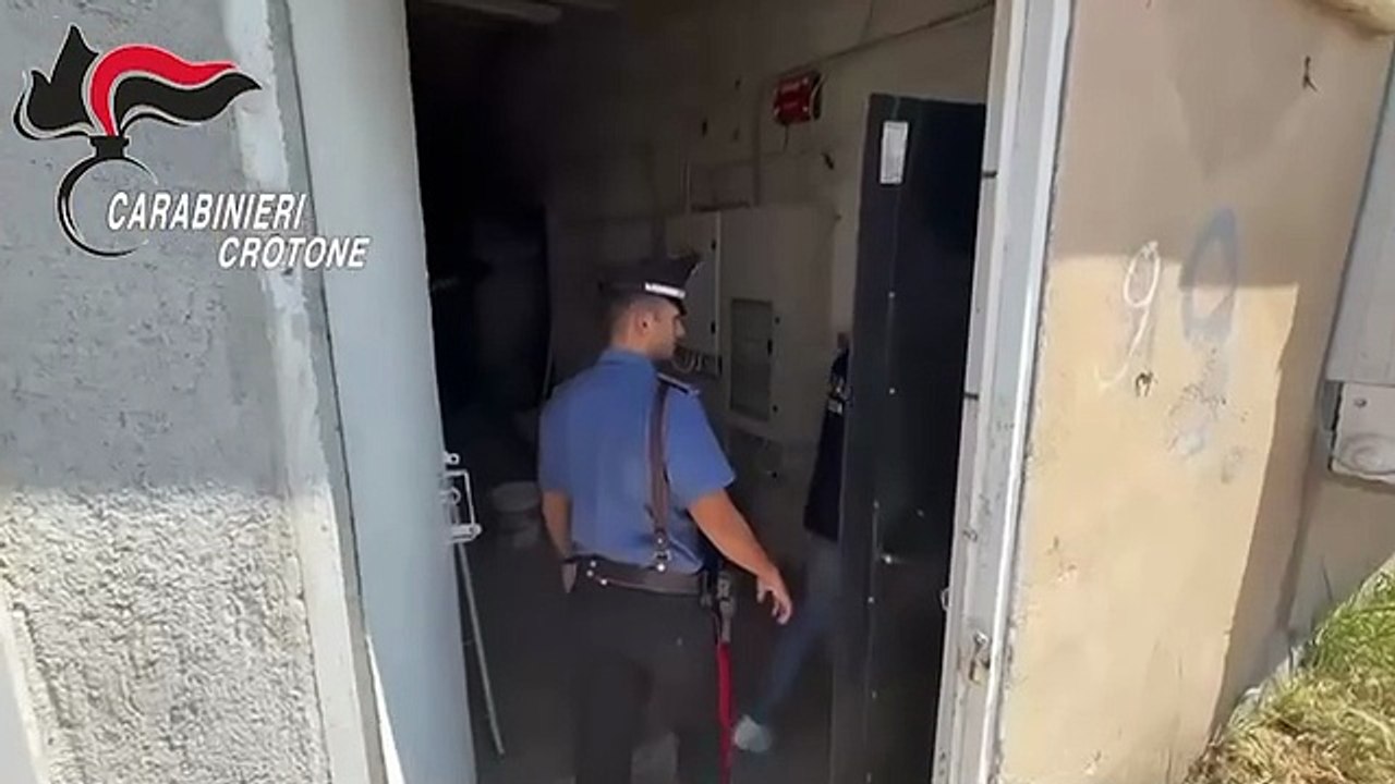 Caporalato nel Crotonese, denunce e sanzioni per 40mila euro. In un'azienda telecamere per sorvegliare i lavoratori