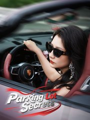 Parking Lot Secrets