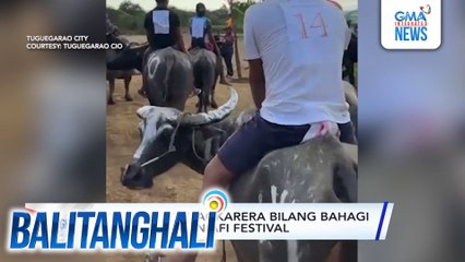 16 kalabaw, nagkarera bilang bahagi ng Pavvurulun Afi Festival | Balitanghali