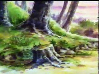 Animals of Farthing Wood S02E01 A Hero’s Welcome | English | HD