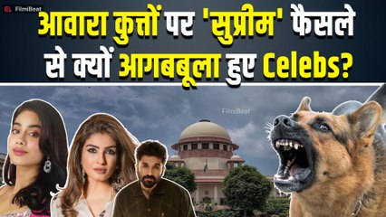 Supreme Court On Stray Dogs: आवारा कुत्तों पर कोर्ट सख्त, Celebs नाराज़! | Bollywood |Raveena Tandon