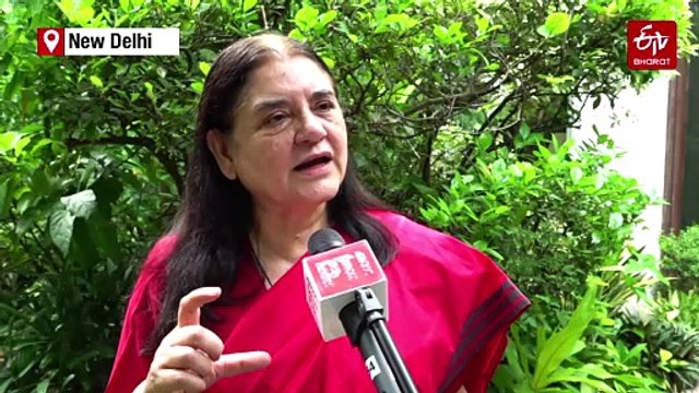 SC Orders Permanent Relocation Of Stray Dogs In Delhi-NCR; Activists Call Move Impractical, Unviable