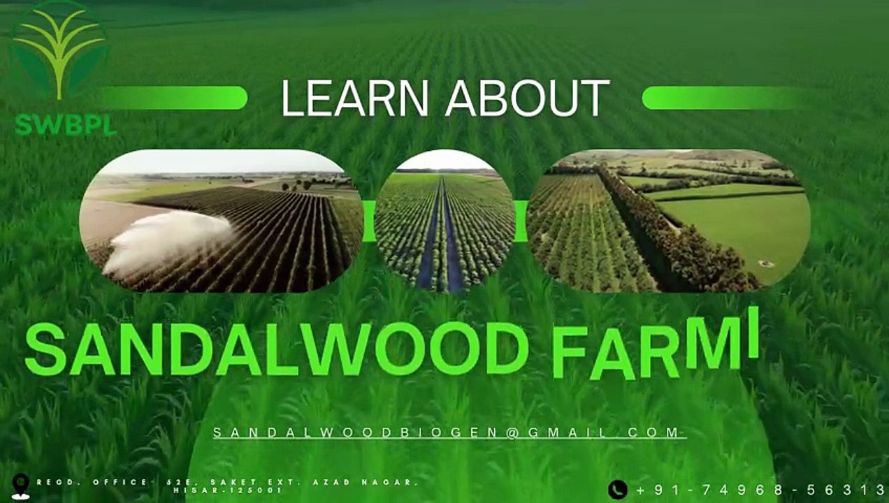 best agriculture seeds in india
