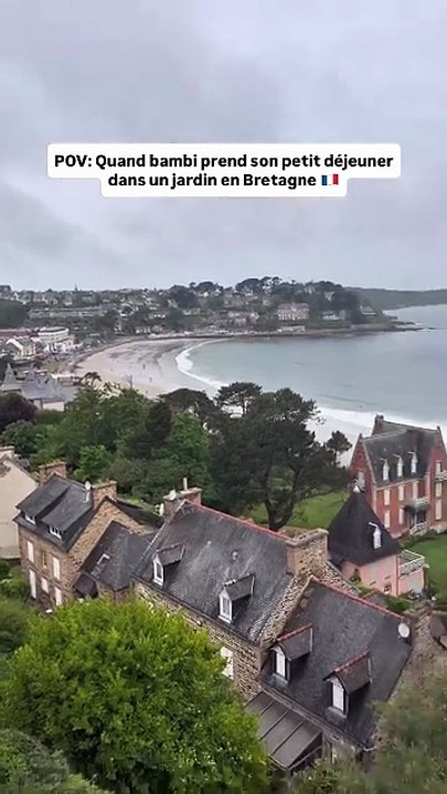 Quand tu prends ton petit déjeuner face à la mer à @lagapahotel et que tu vois ça 🥹