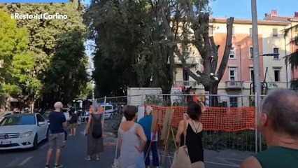 Albero abbattuto a Bologna per fare posto al tram. Il video della protesta