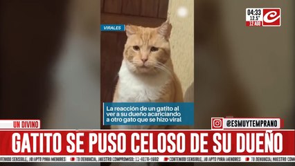 Vio a su dueño acaricioando a otra mascota y su reacción se hizo viral