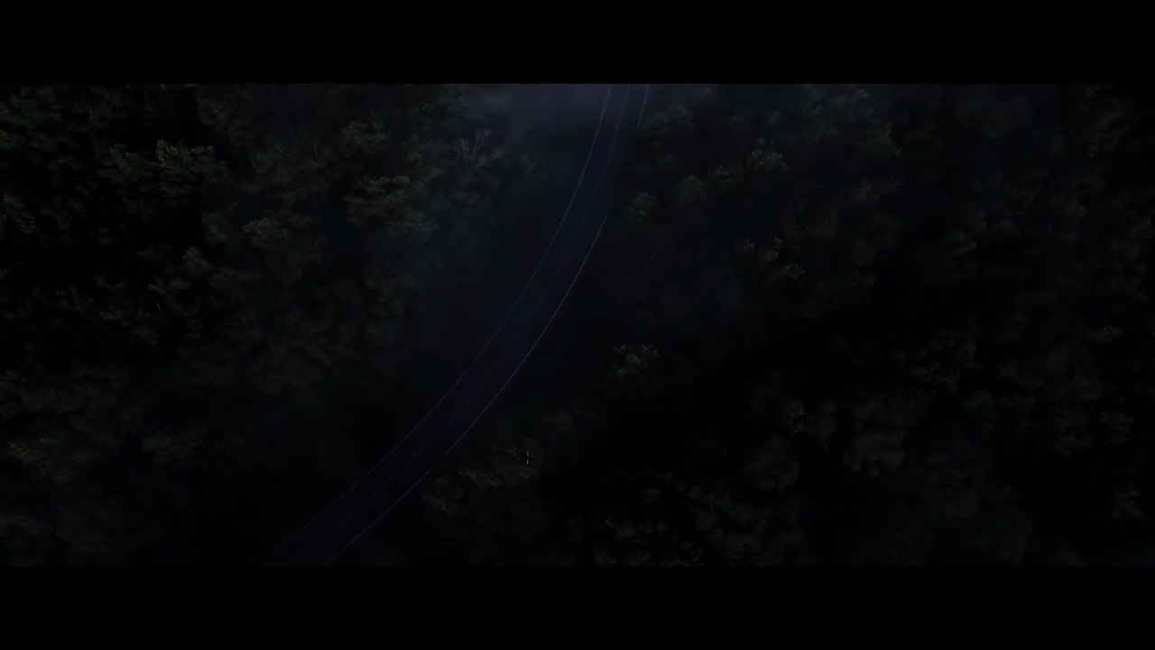 The Jolly Monkey Trailer DF