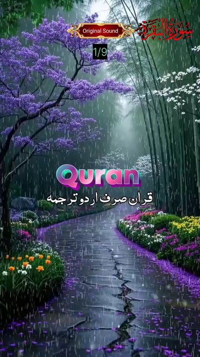 الحمدللہ اج سے قران پاک شروع کیا جا رہا ہے جس میں روزانہ چند ایتوں کا ترجمہ پیش کیا جائے گا اگر زندگی نے وفا کی تو پورا قران پاک پیش خدمت ہوگا انشاء اللہ