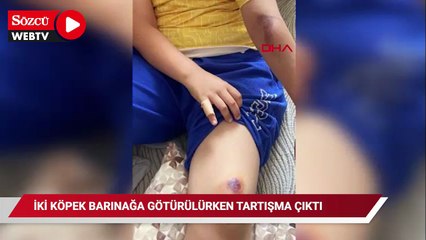 Avcılar'da çocuğu kovaladığı iddia edilen 2 köpek barınağa götürülürken mahalleli tepki gösterdi