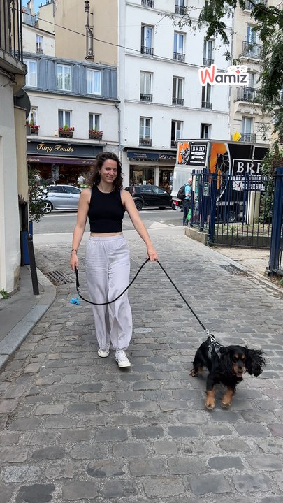 Dog Mum Maze