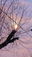 Tarde de invierno en el Bulevar - Tacuarembó 07/08/2025