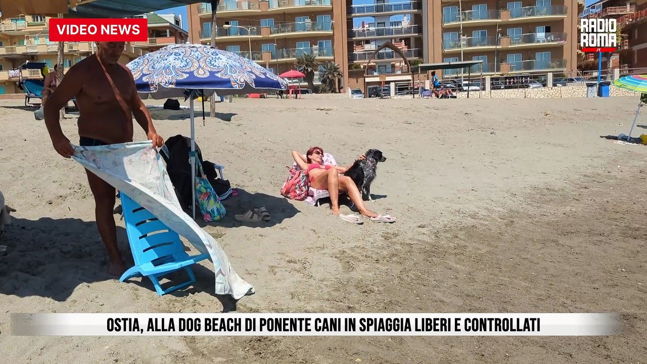 Ostia, alla Dog Beach di Ponente cani in spiaggia liberi e controllati
