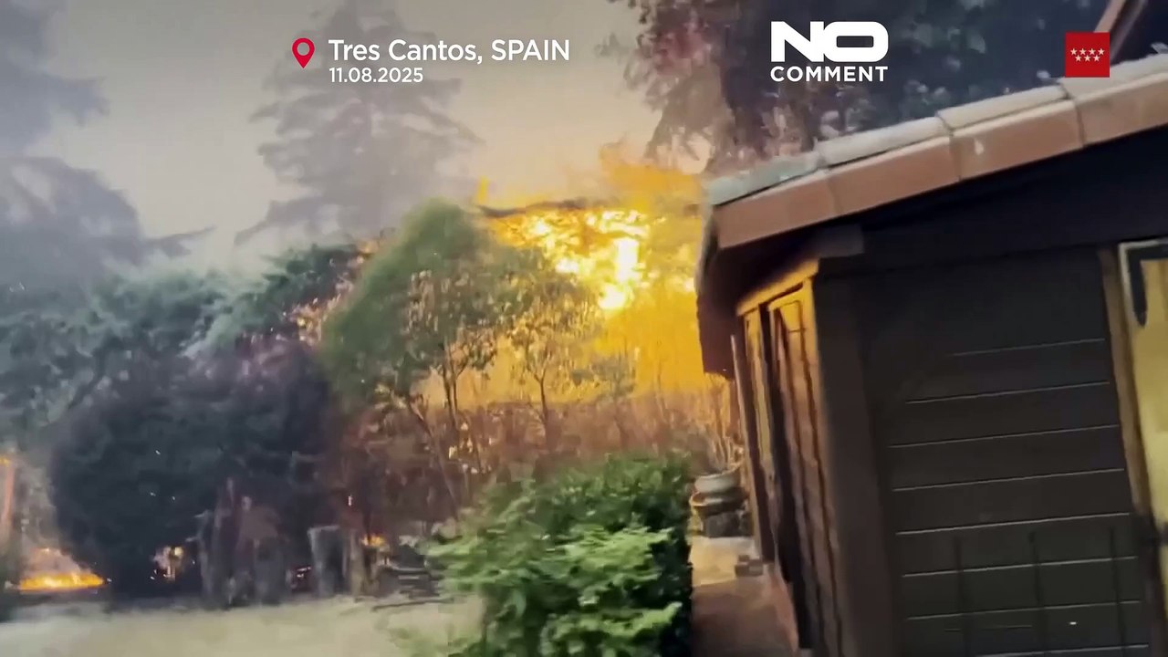 Tödlicher Waldbrand nahe Madrid eingedämmt