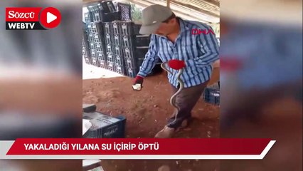 Yakaladığı yılana su içirip öptü