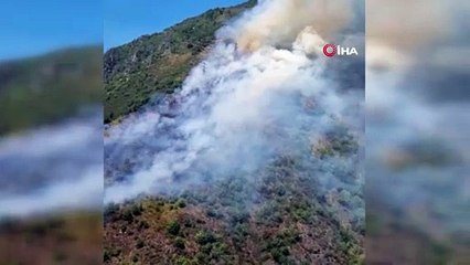 Gümüşhane’de ağaçlık alanda yangın