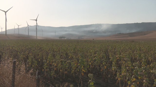 Continúan las labores de extinción en el incendio de Tarifa (Cádiz) con cientos de desalojados