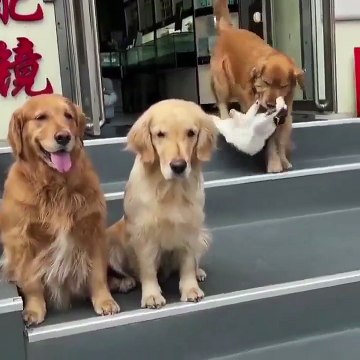 A beautiful moment frozen in time — filled with love, laughter, and togetherness.