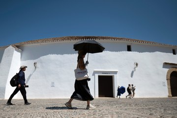 Canicule : comment l'Espagne tente de s'adapter