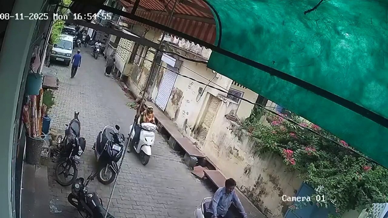 Video: Woman flung into air as bull hits her in Rajasthan's Bharatpur