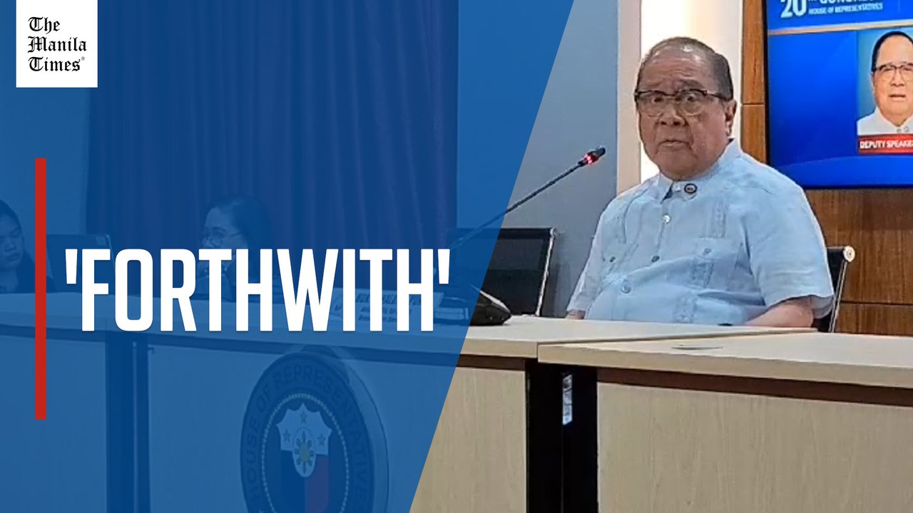 Lawmaker pushes Charter change  to avoid disputes caused by interpretations