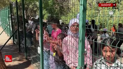 Dünyanın ilk tüp bebek fili "Gabi"ye Dünya Fil Günü'nde özel menü