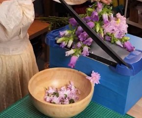 Botanical Beauty: Making Cosmetics from Flower Power