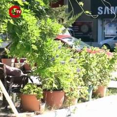 Edremit'te yere çöp atanlara para cezası uygulanacak