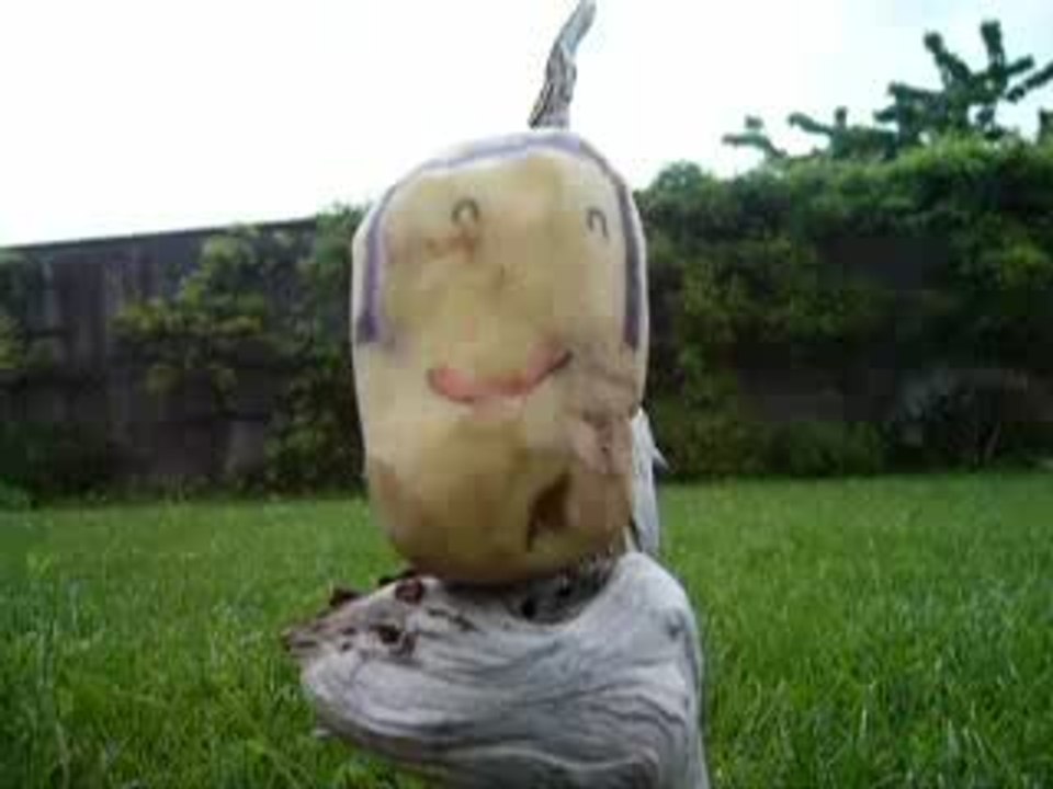 Petite Patate♥