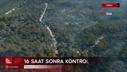 Edirne'de yanan ormanın görüntüsü yürekleri dağladı