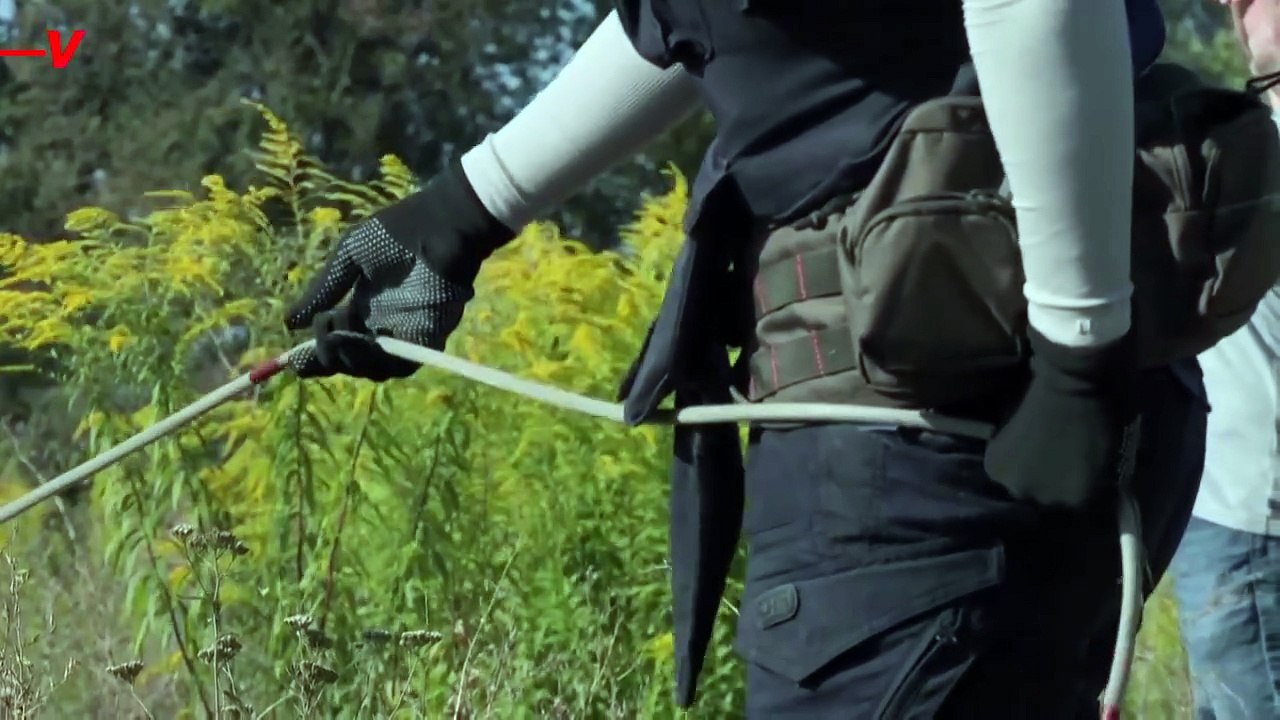 Dogs on the Frontlines of the Landmines in Ukraine Helping Clear Them
