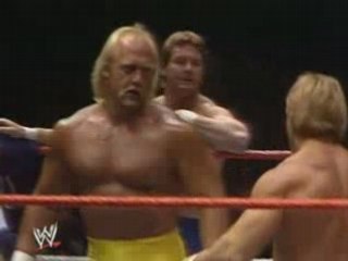 Hogan & Mr T vs Piper & Paul Orndorff (WM I)