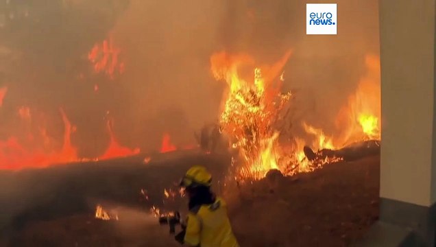 Portugal, bajo el asedio del fuego: los Bomberos luchan sin descanso