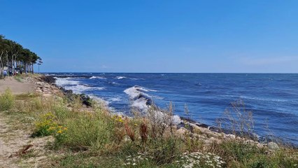 Vid havet Hagestad 29 Juli 2025