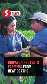 Biopatch invented to protect farmers from heat-related deaths