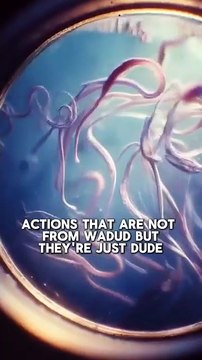 Illness and Possession_ Jinn Energy Parasites _ Frequency-Based Disease