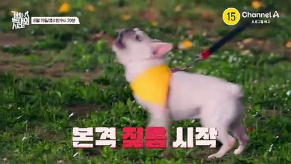 [3회 예고] 악랄한 늑대 3호를 잡으러 강형욱이 왔다