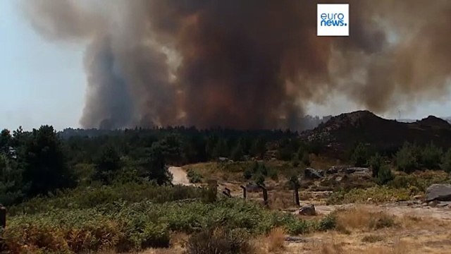 Пожары и огненный смерч: Португалия получает иностранную помощь для борьбы с бедствием