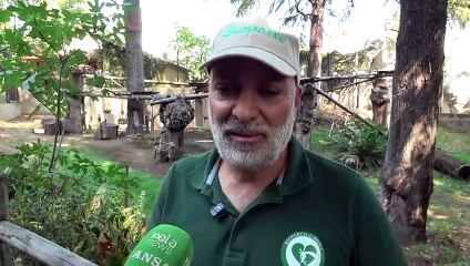 Al Bioparco di Roma ghiaccioli per gli animali e a Ferragosto anguria!