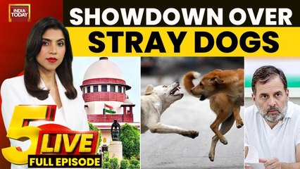 Supreme Court's order on stray dogs triggers nationwide outcry and more