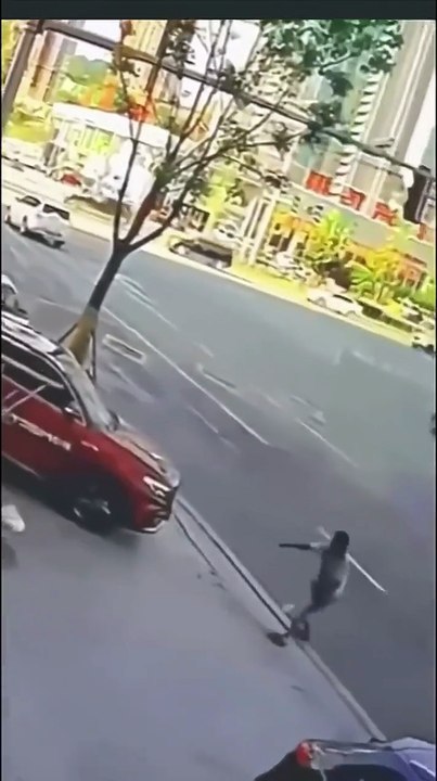 Il chute d'une nacelle mais termine sur ses pieds... un vrai chat