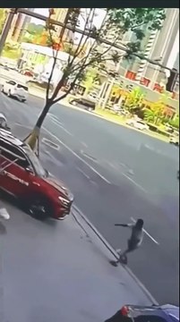 Il chute d'une nacelle mais termine sur ses pieds... un vrai chat